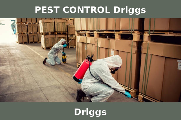 PEST CONTROL Driggs